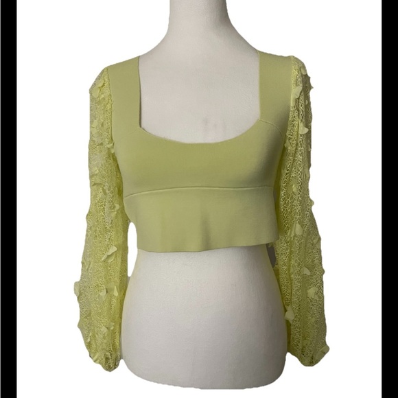 Free People Intimately Flutter By Bandage Crop Top Women's Large - Picture 4 of 7